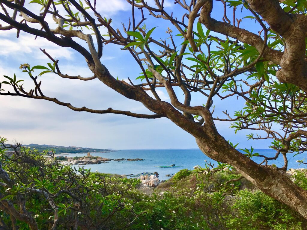 mui ke gà