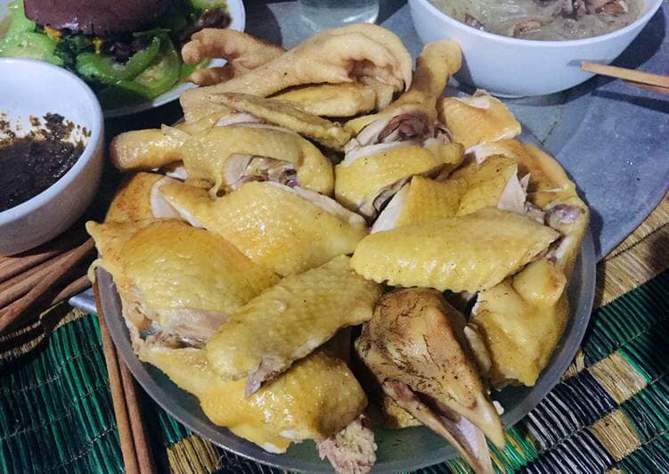 nong trại tam nong địa chỉ-min